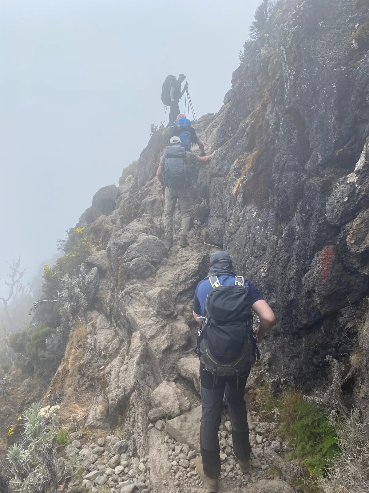 Kilimanjaro 2022 — foto 17
