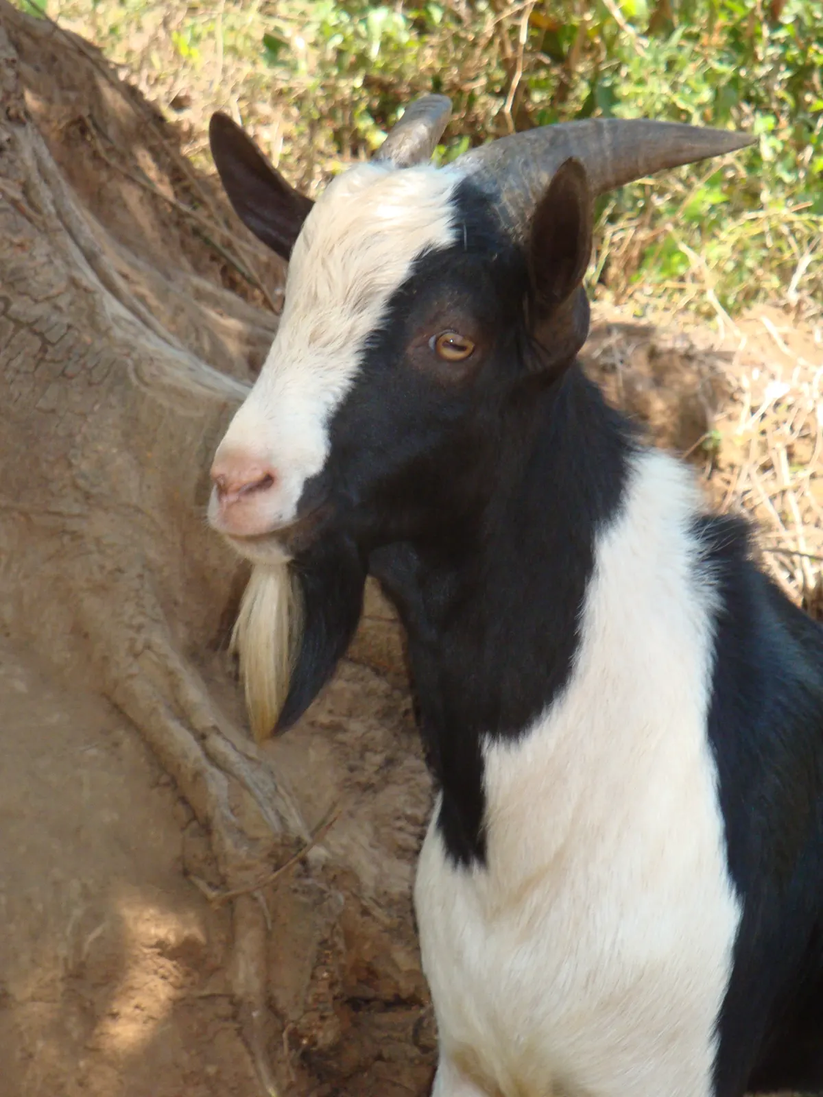 Malawi 2014 — foto 5
