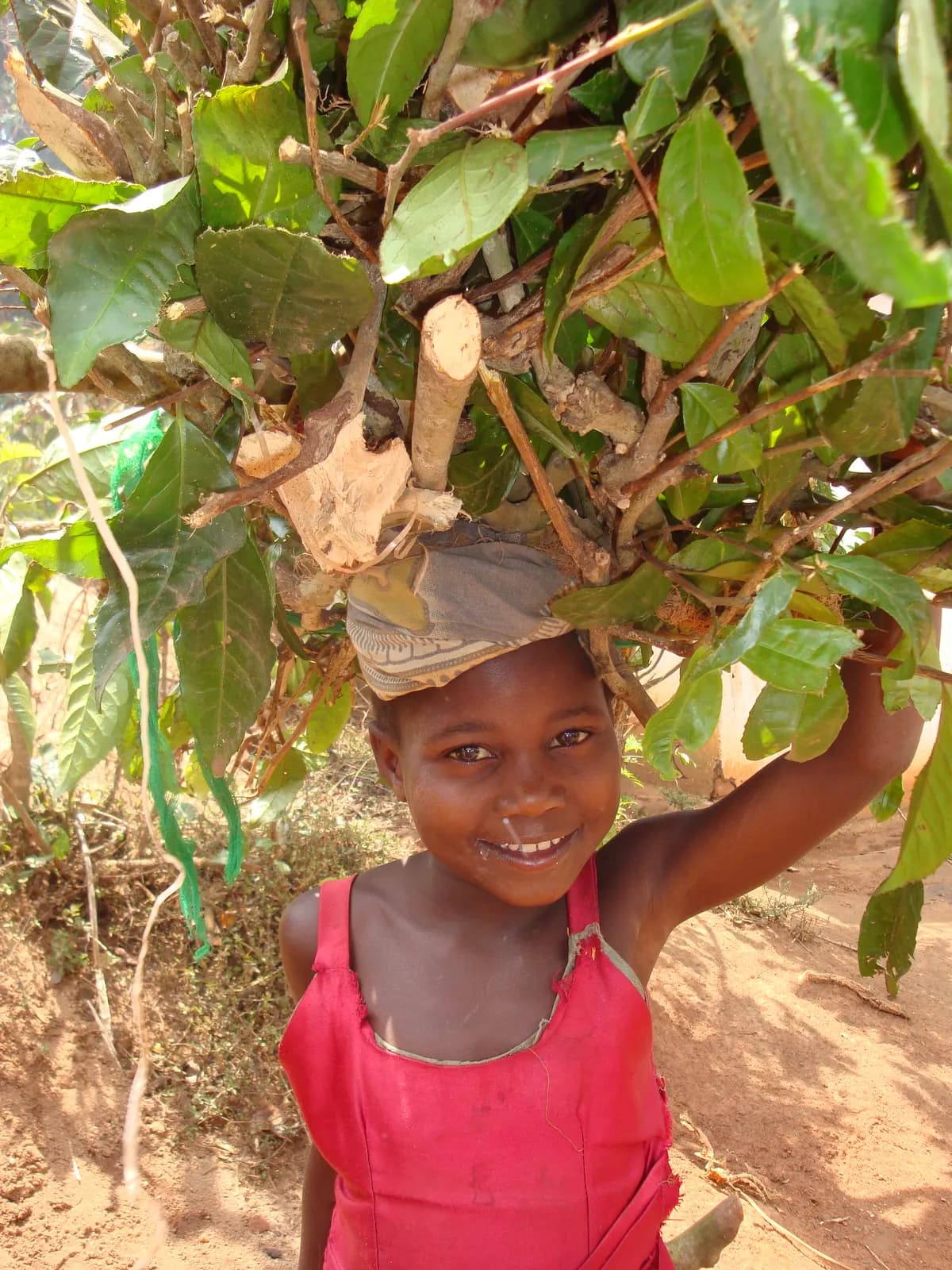 Malawi 2014 — foto 17