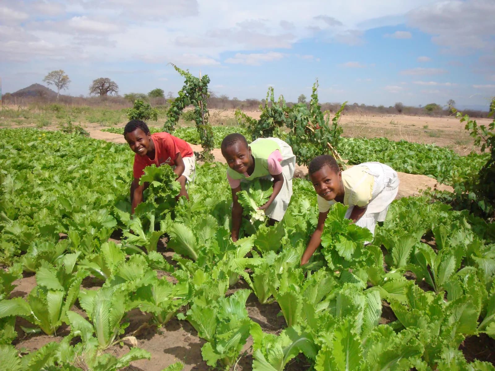Tanzania 2011 — foto 10