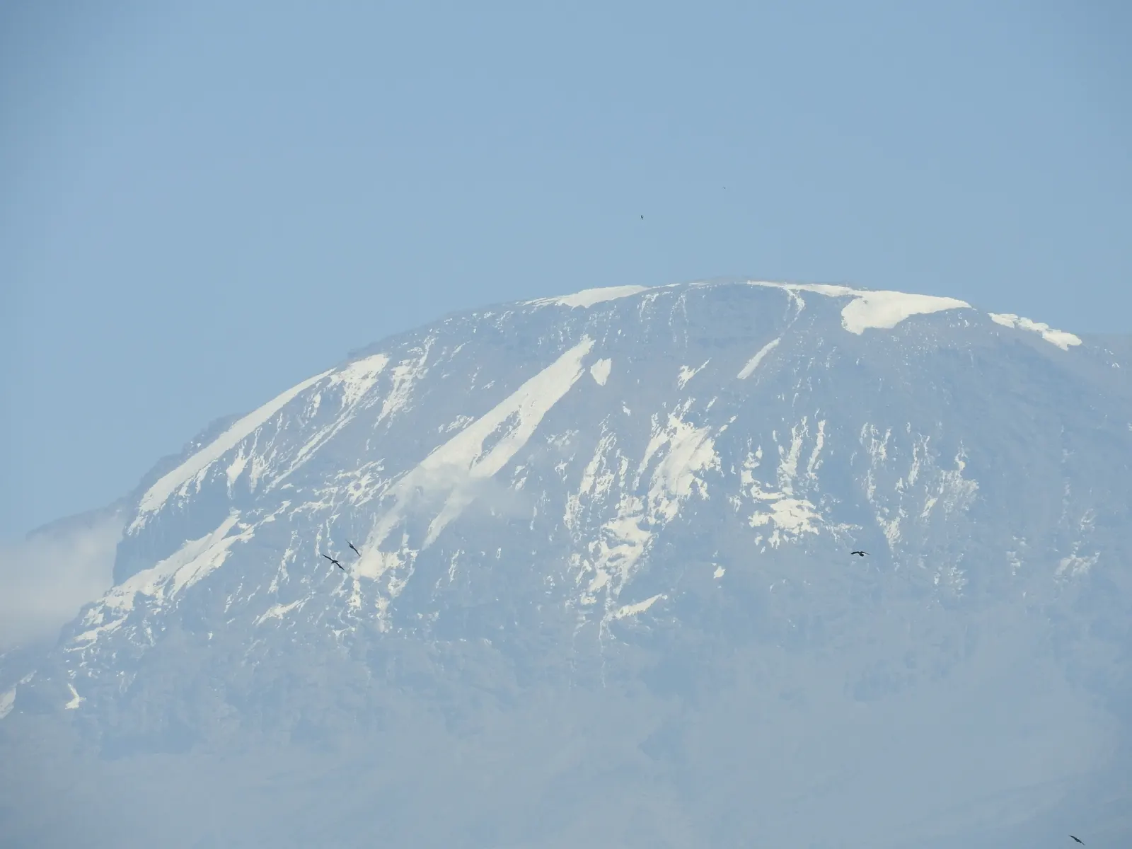 Tanzania 2021 — foto 2