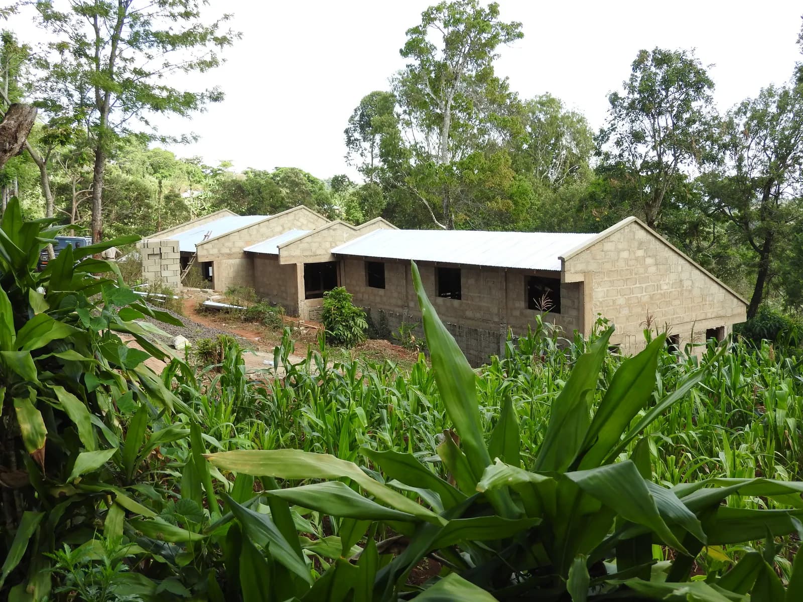 Tanzania 2021 — foto 5